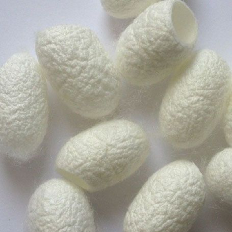 SOIE DE MÛRIER