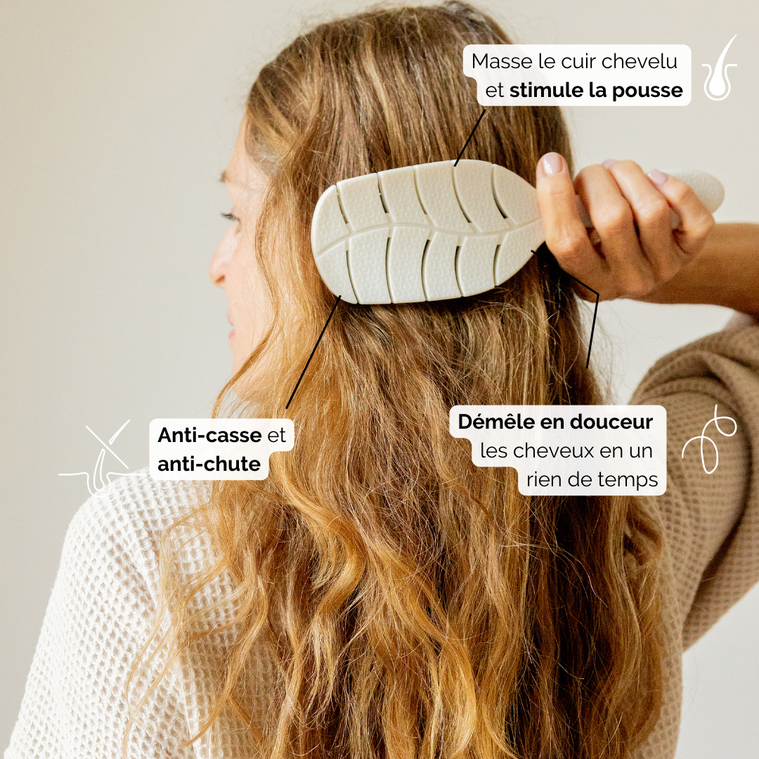 Brosse démêlante