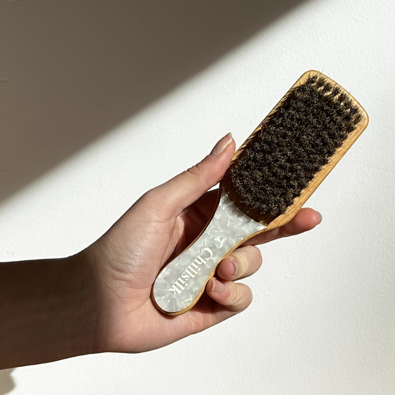 La Brosse sanglier