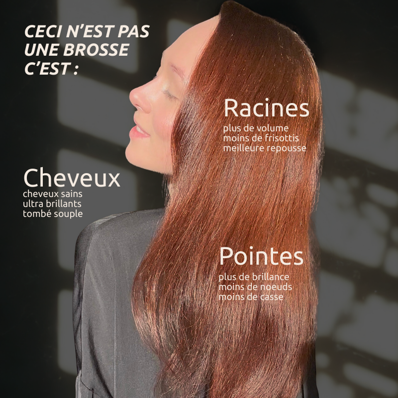 La Brosse Soyeuse
